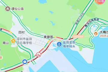 高峰堵车超半小时，深圳一市民建议车道改为长实线，部门回应